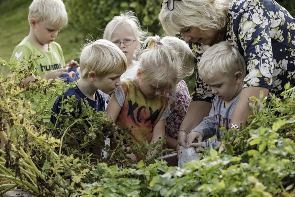 En voksen og en flok børn bøjer sig over køkkenhaven og kigger ned i jorden.