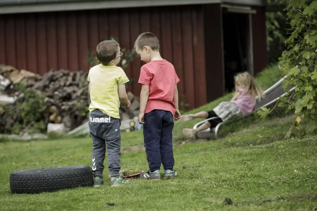 To drenge står og snakker på græsset ved det røde skur, mens en pige suser ned ad rutsjebanen i skråningen.
